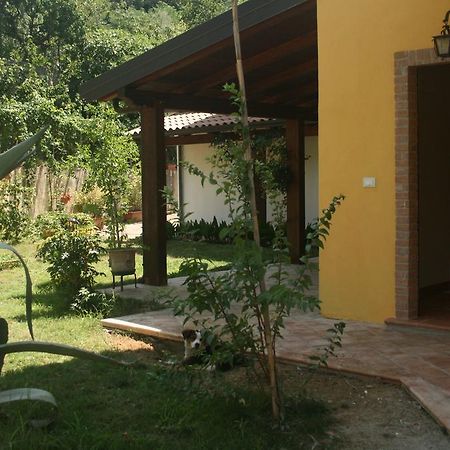 B&B Del Castagneto San Marco Argentano Eksteriør billede