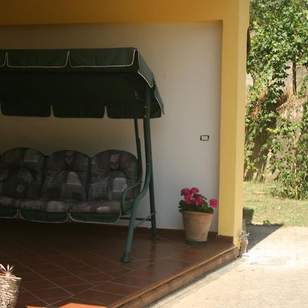 B&B Del Castagneto San Marco Argentano Værelse billede