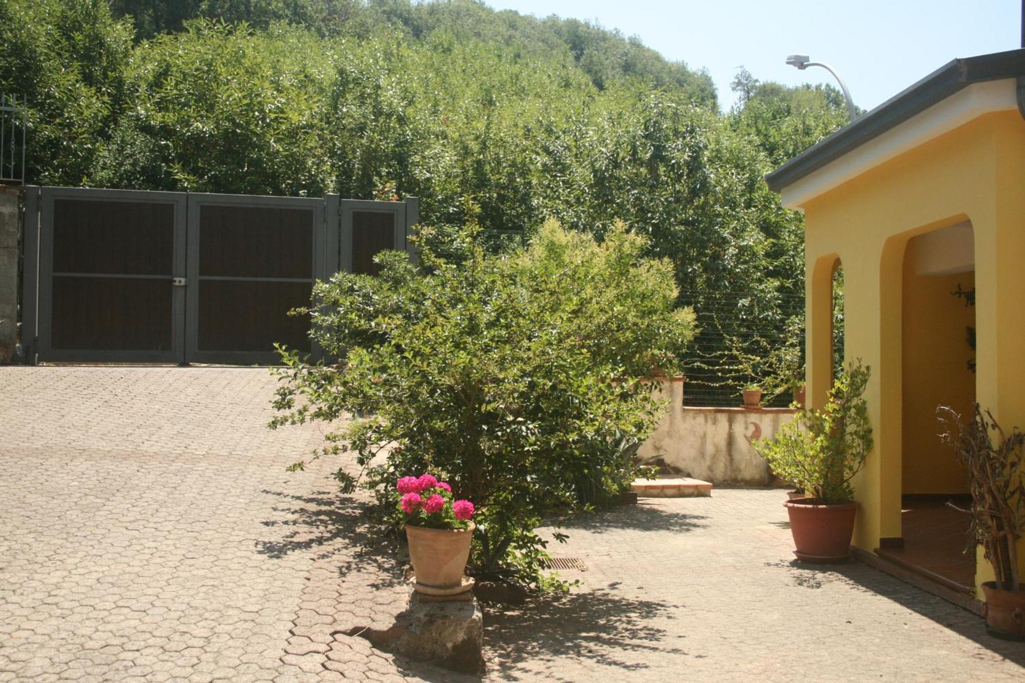 B&B Del Castagneto San Marco Argentano Værelse billede